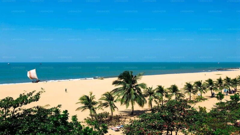Sri Lanka: 12-Day Tour with Uncover the Rich Heritage - Days 7-8: Trincomalee’s Beaches and Temples