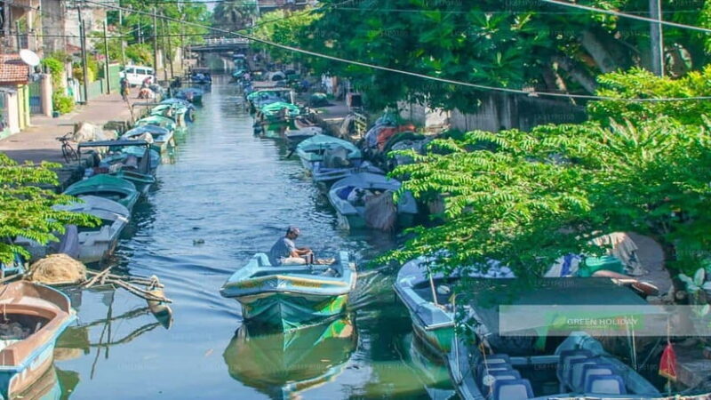 Sri Lanka: 12-Day Tour with Uncover the Rich Heritage - Days 11-12: Kandy’s Cultural Heart and Final Farewell