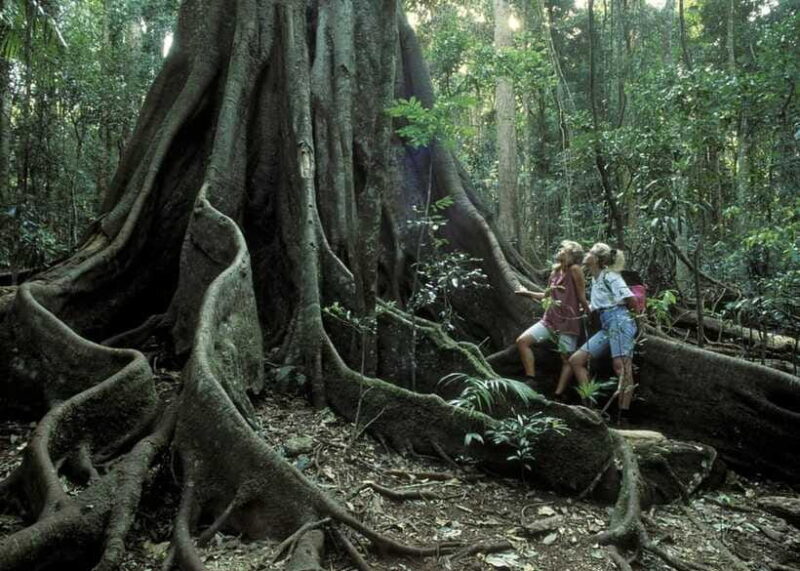 Sri Lanka 2-Day National Parks Trip, Hotel, Transport, Guide - Authentic Insights From Reviews