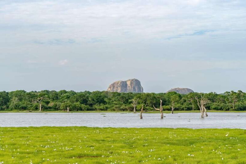 Sri Lanka 2-day Tour: 3 Amazing National Parks+River Safari - Analyzing the Value of the Tour