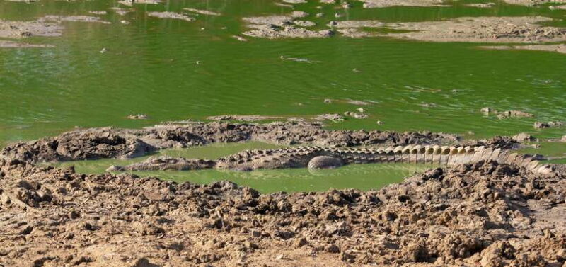 Sri Lanka 2-day Tour: 3 Amazing National Parks+River Safari - Final Thoughts