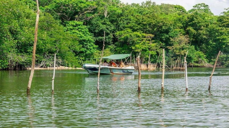 "Sri Lanka 2-Day Tour: Explore Hikkaduwa, Galle & Yala" - Who Should Consider This Tour?