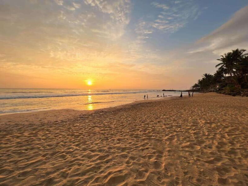 Sri Lanka: 3-Day 2night South Coast Tour with Whale Watching - A Practical Look at the 3-Day South Coast Tour