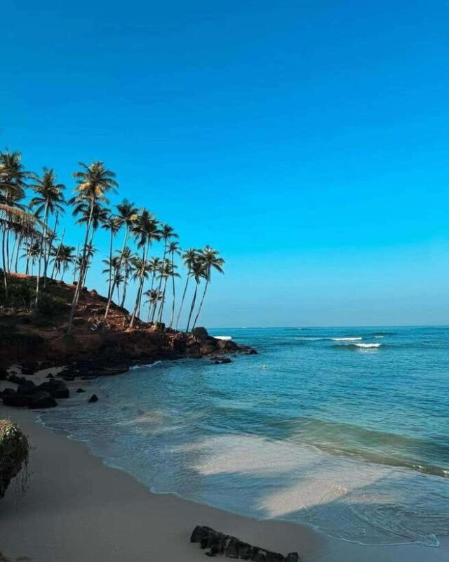 Sri Lanka: 3-Day 2night South Coast Tour with Whale Watching - Final Thoughts