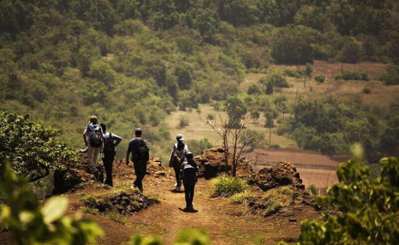 Sri Lanka: 3-Day Hill Country Experience with train trip - A Closer Look at the 3-Day Itinerary
