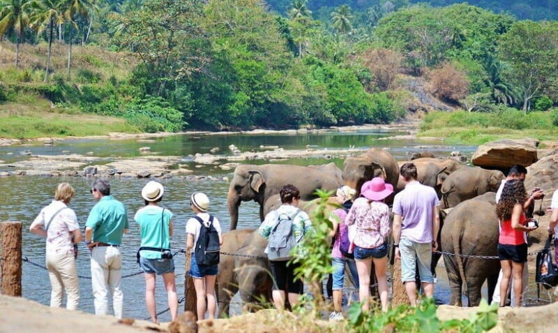 Sri Lanka: 3-Day Hill Country Experience with train trip - Practical Details and Tips