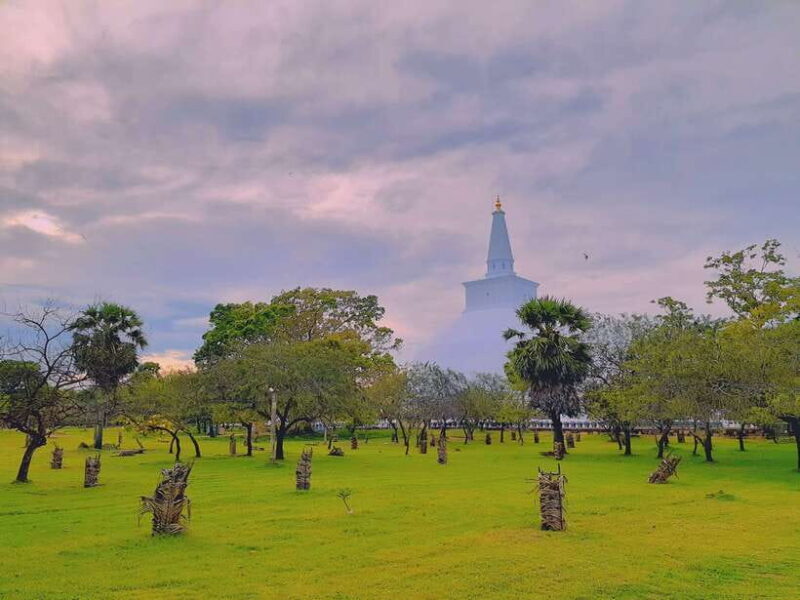 Sri Lanka 3-Day Private Tour Temples, Wildlife, Hill Country - FAQ