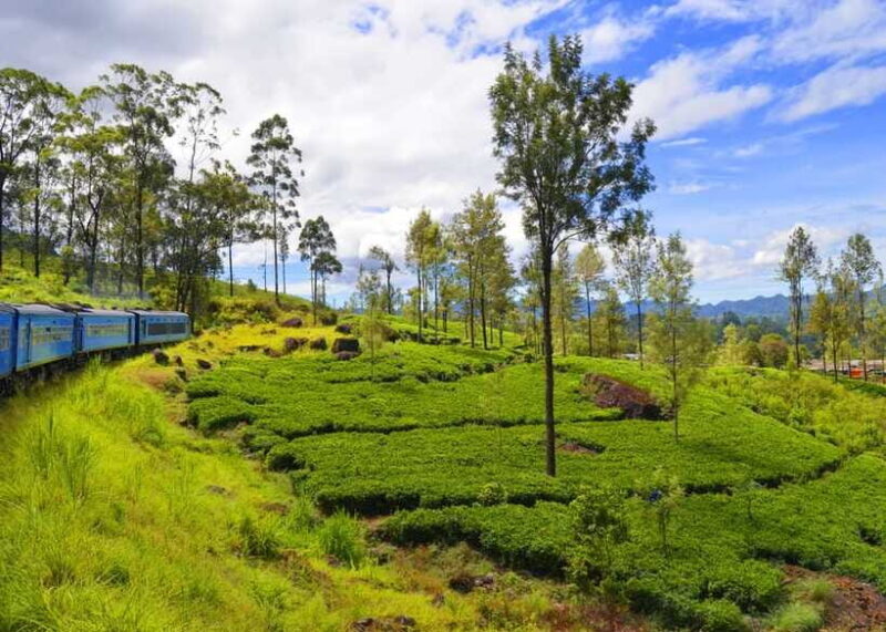 Sri Lanka 3-Day - Sigiriya, Udawalawe, Kandy, Bentota, Ella - The Itinerary Breakdown: What You Can Expect