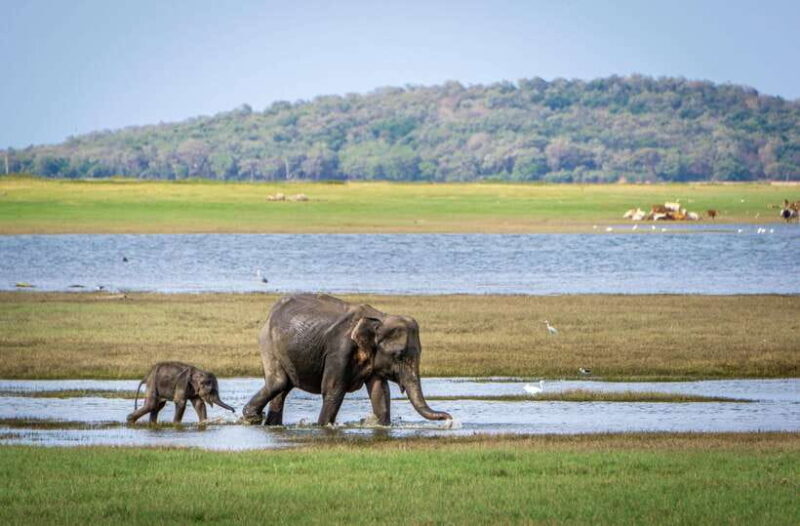 Sri Lanka 3-Day Top Temple Tour To The Cultural Triangle - Practical Aspects and Value
