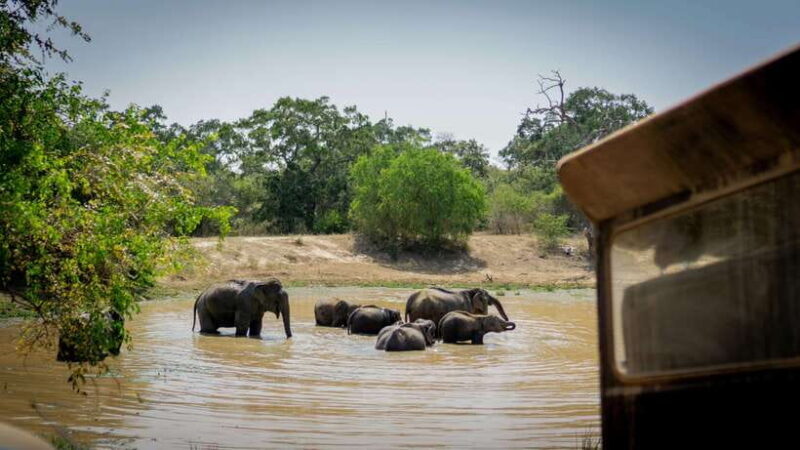Sri Lanka: 4-Day Ancient City Tour - Introduction: Why Consider This Tour?
