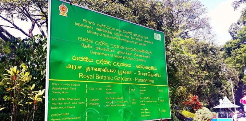 Sri Lanka 4-Day Kandy & Nuwara Eliya Tea & Hill Country Tour - Practical Tips for Potential Travelers