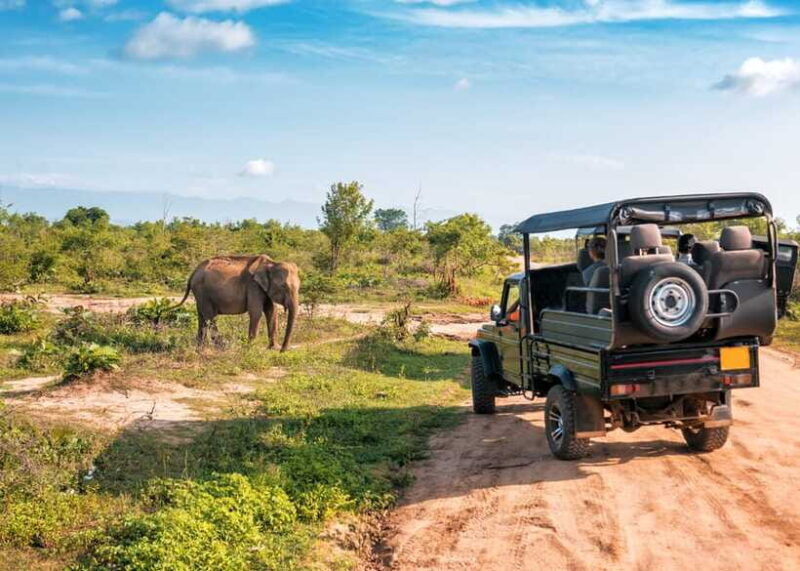 Sri Lanka: 4-Day Private Tour Focusing on Cultural Triangle - Potential Drawbacks