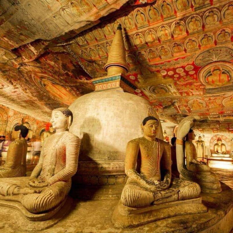 Sri Lanka: 5-Day Cities and Nature Round Tour from Colombo - The Practicalities and Value