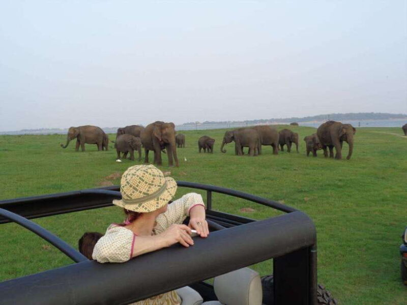 Sri Lanka: 5-Day Cities and Nature Round Tour from Colombo - The Sum Up