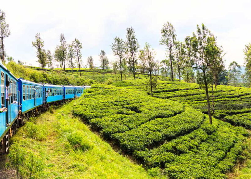 Sri Lanka 5-Day Private Country Side Tour Car, Hotels, Food - Discovering Sri Lanka’s Rich Tapestry