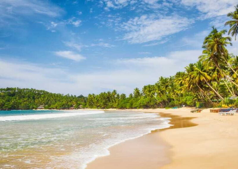 Sri Lanka 5-Day Private Country Side Tour Car, Hotels, Food - Who Should Go?