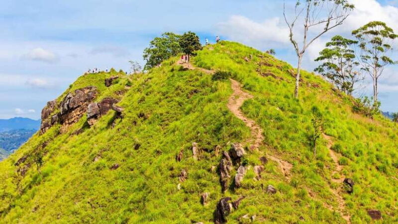 Sri Lanka: 6-Day Luxury Honeymoon Tour - An Overview of the 6-Day Journey