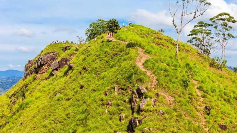 Sri Lanka: 6-Day Luxury Honeymoon Tour - Who Will Love This Tour