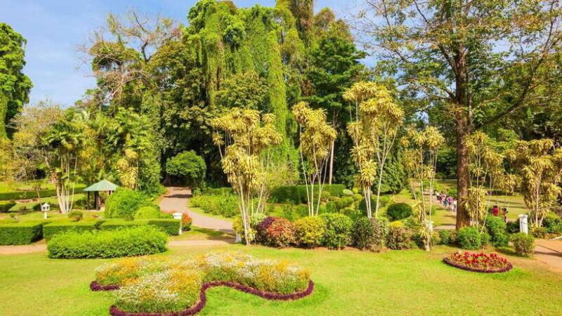 Sri Lanka: 6-Day Luxury Honeymoon Tour - Practical Tips