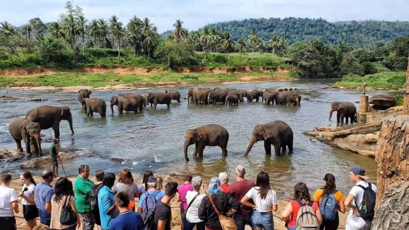 Sri Lanka: 6-DayTour of Kandy-Nuwara Eliya-Bentota & Colombo - Key Points