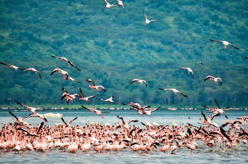 Sri Lanka: 9-Day Private Tour Hotels, Meals, Guide-Transport - Final Thoughts
