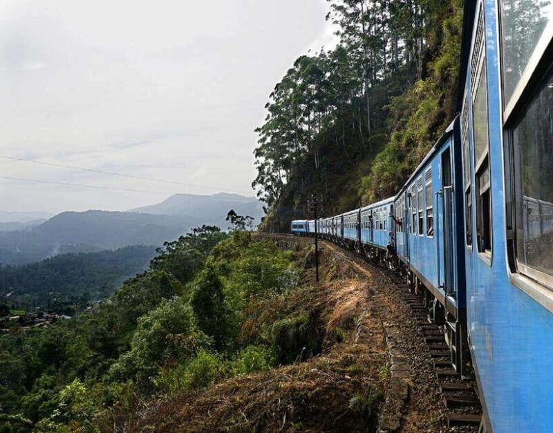 Sri Lanka Ancient Temple, Wildlife, Hill Country Train - Who Should Consider This Tour?