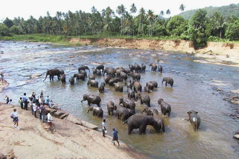 Sri Lanka ancient wonders Sigiriya, Kandy, Dambulla 2-day - An In-Depth Look at the Itinerary