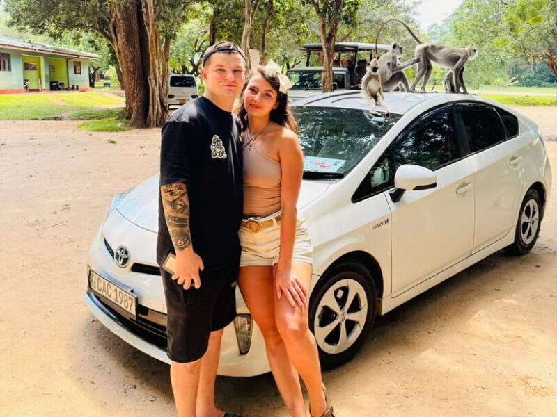 Sri Lanka Car Rental with Driver - 3 Days Minimum, 180km/Day - Why This Tour Works for Different Travelers