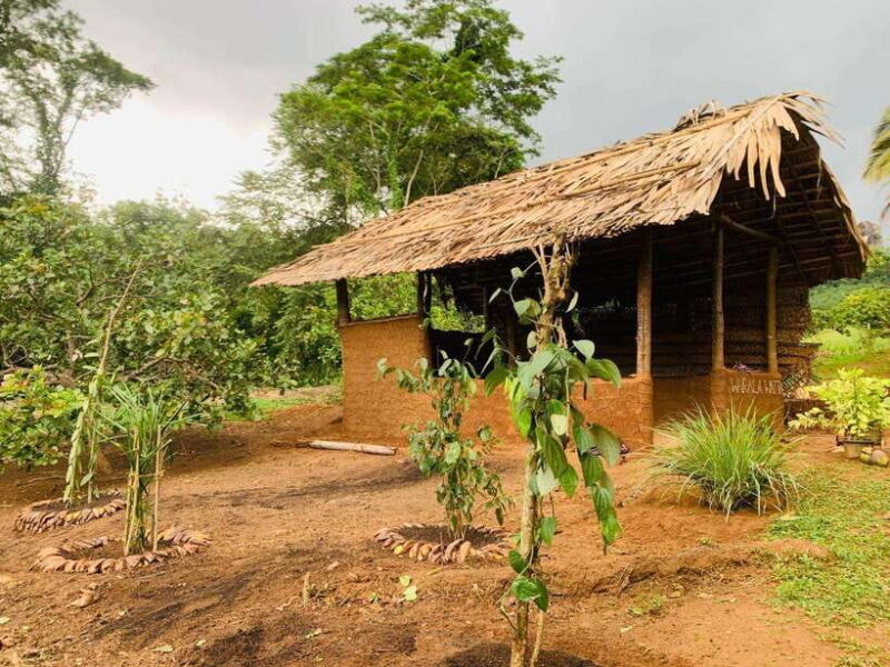 Sri Lanka: Ceylon Cinnamon Experience & Spice Garden Tour - Final Thoughts