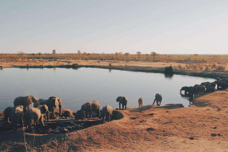 Sri Lanka Compact Highlight 5-Day Tour Sigiriya, Kandy, Ella - Key Points