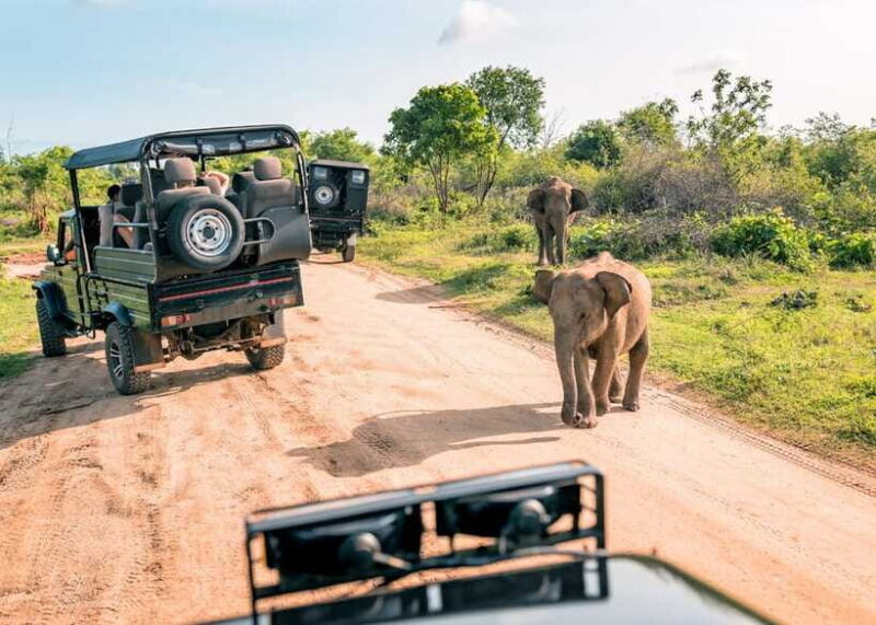 Sri Lanka Cultural Triangle Private 2-Day Tour+Wildlife Tour - Key Points