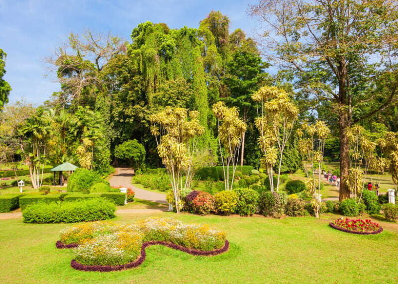 Sri Lanka Cultural Triangle Private 2-Day Tour+Wildlife Tour - Final Thoughts: Is This Tour Worth It?