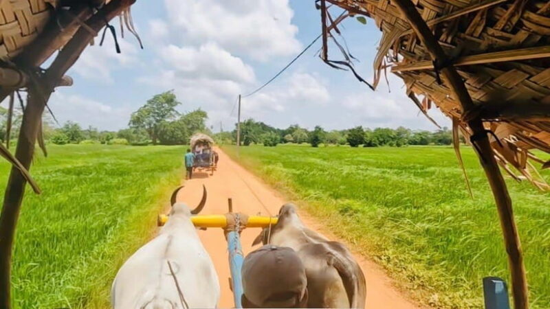 Sri Lanka Culture Triangle: 4-Day Journey with 3 Nights Stay - Practical Tips for Travelers