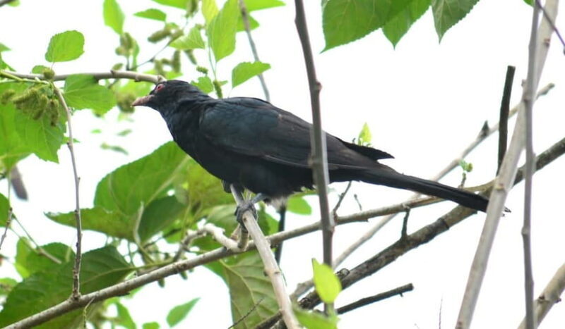 Sri Lanka Green Bless- 2-day Private Trip To Enjoy Nature - The Value Proposition: Price and What You Receive