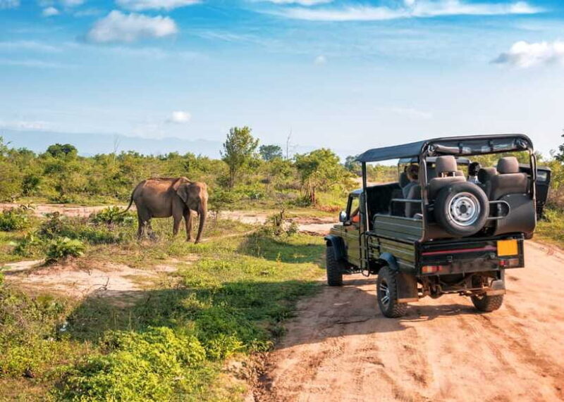 Sri Lanka Green Bless- 2-day Private Trip To Enjoy Nature - Who Will Love This Tour?