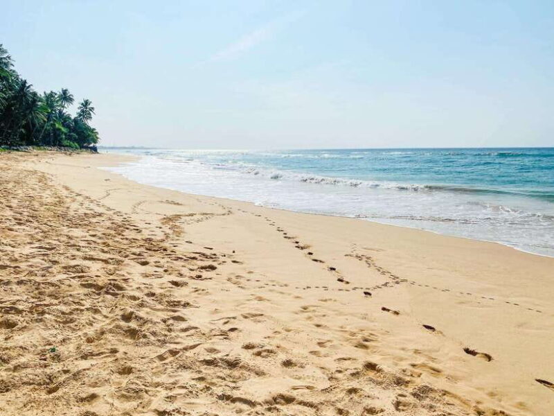 Sri Lanka: History ,Wildlife, Beaches, 7 Days Private Tour - The Itinerary in Detail