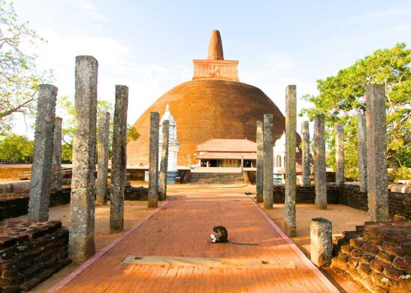 Sri Lanka: History ,Wildlife, Beaches, 7 Days Private Tour - FAQ