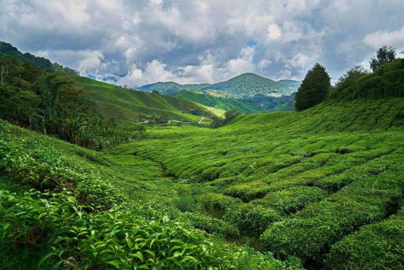 Sri Lanka, Kandy: Hill Country 3-Day Private Tour - An In-Depth Look at the 3-Day Itinerary