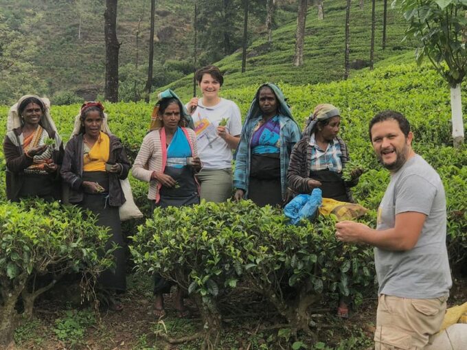 Sri Lanka : Kandy to Nuwara Eliya Day Tour - Frequently Asked Questions