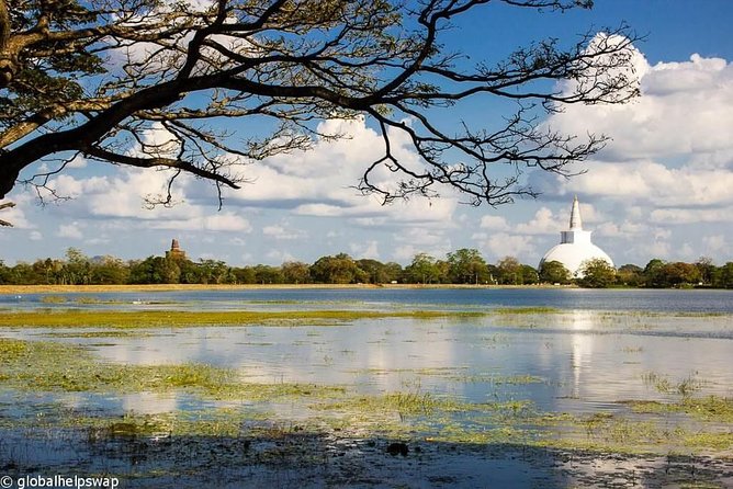 Sri Lanka Multi Day Car Hire With English Speaking Driver-Guide - Pricing Details and Group Sizes