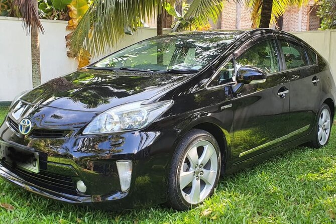 Sri Lanka Multi-Days Car or Van Rent With English Speaking Driver - Accessibility Features