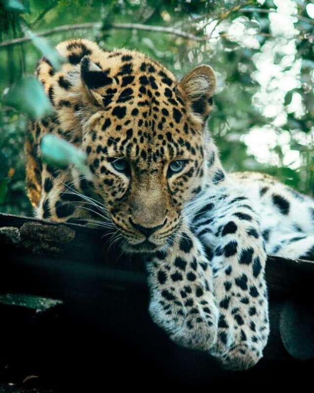 Sri Lanka Private 10-Day Round Tour Car, Guide, Hotels, Food - Key Points