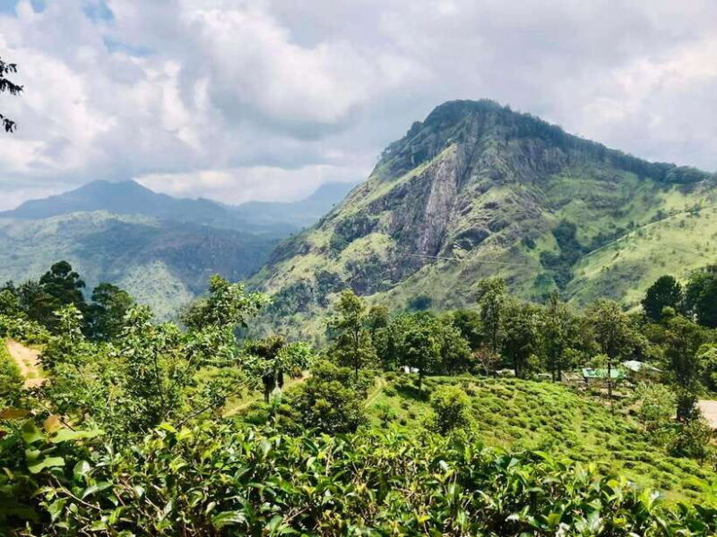Sri Lanka Private 3-nights Tour Transport, Guide, Hotels - Key Points