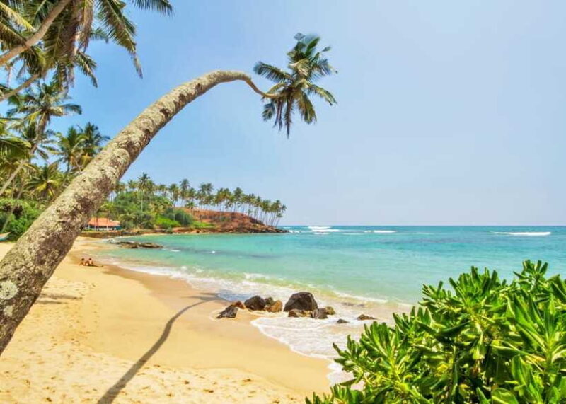 Sri Lanka Private 3-nights Tour Transport, Guide, Hotels - Who Will Love This Tour