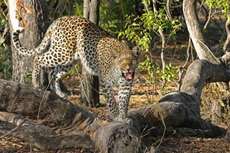 Sri Lanka Private 7-day Tour: Transport, Guide, Hotels, Food - Authentic Experiences and Authenticity