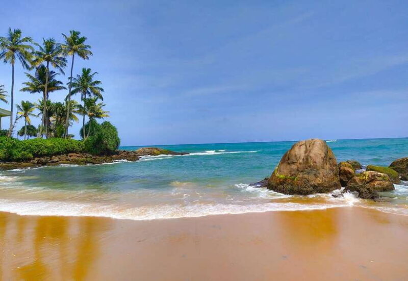 Sri Lanka Private 7-day Tour: Transport, Guide, Hotels, Food - Who Should Consider This Tour?