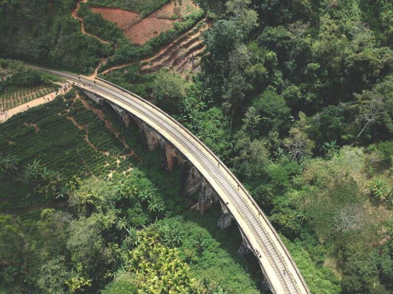 Sri Lanka Private 7-day Tour: Transport, Guide, Hotels, Food - FAQ