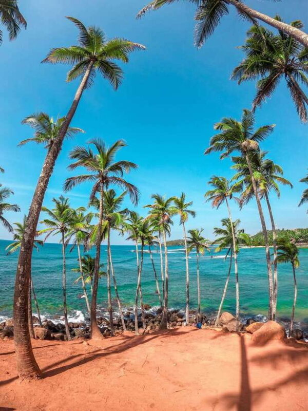 Sri Lanka Private 8-day Tour; Transport, Guide, Hotels, Food - A Detailed Look at the 8-Day Sri Lanka Private Tour