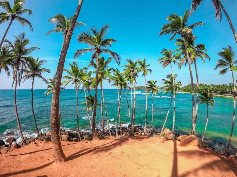 Sri Lanka Private Tour- Beach, Sinharaja, Yala, Udawalawe - Key Points