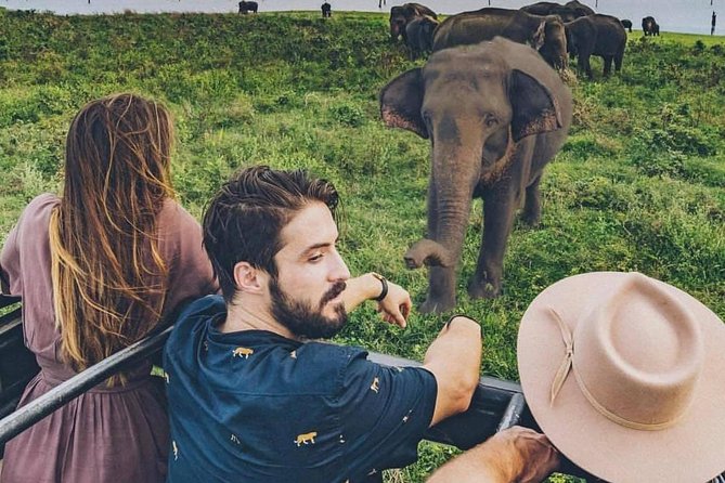 Sri Lanka Private Tour Package 9 Night 10 Day With Driver+Vehicle+Accommodations - Guest Reviews and Ratings